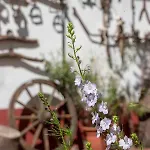 Guest house Hajdu Lovasudvar