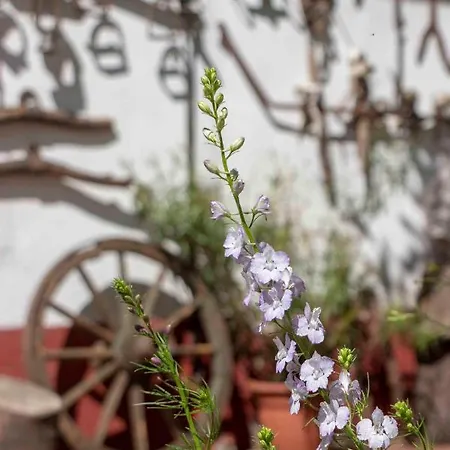 Guest house Hajdu Lovasudvar