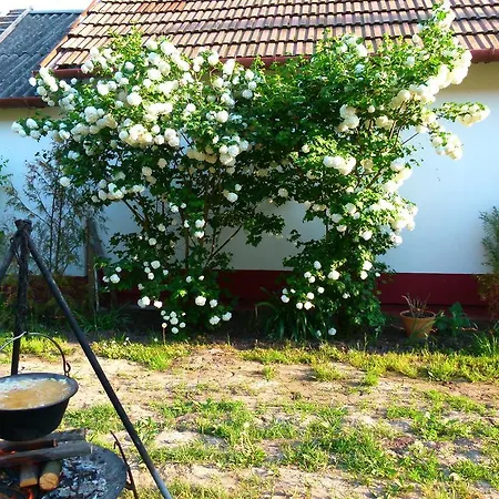 Hajdu Lovasudvar Guest house *