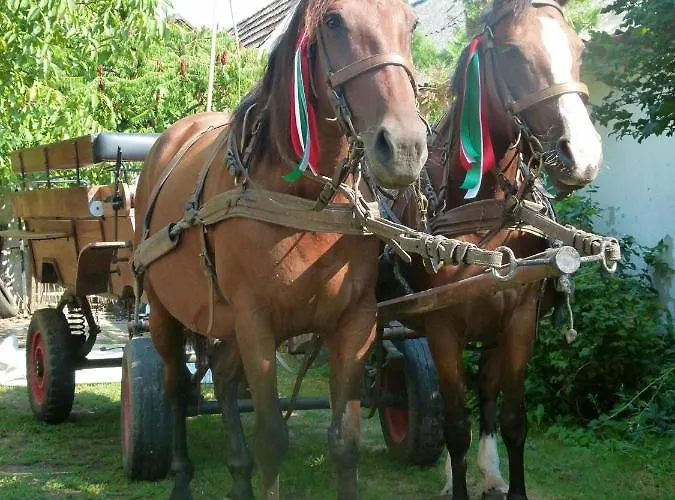 Hajdu Lovasudvar Hortobágy