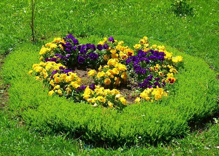 Gasthof Hajdu Lovasudvar 3*