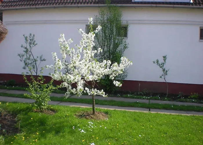 Pensjonat Hajdu Lovasudvar